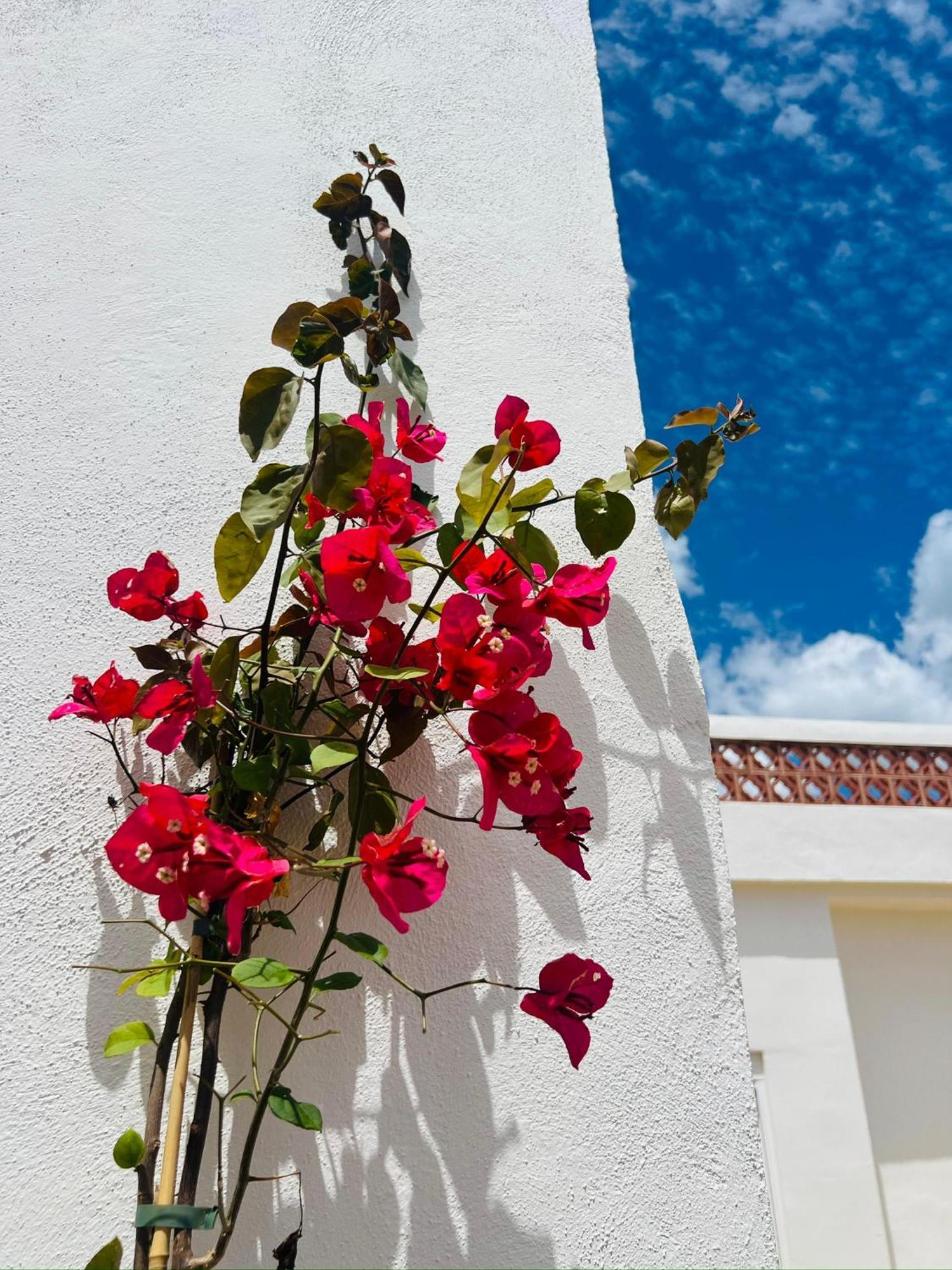 Templo Sotogrande Apartment Luaran gambar